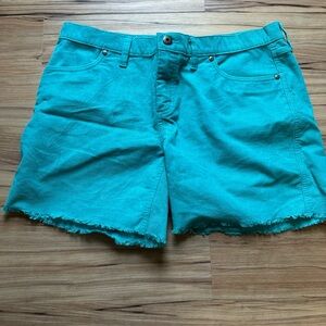 Carve Designs Oahu 6inch shorts